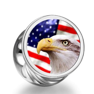 Pandora American Flag Bald Eagle Cylindrical Photo Charm