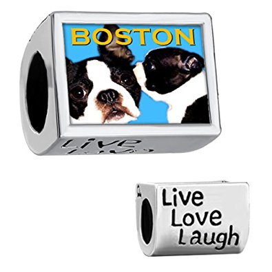 Pandora Boston Terrier Silver Charm