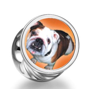 Pandora Brown White Bulldog Photo Charm