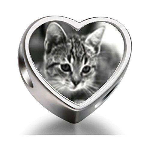 Pandora Cat In Black And White Heart Photo Charm