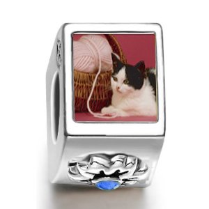 Pandora Cat With Yarn Crystal Charm