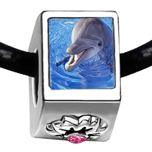 Pandora Crystal Dolphin With October Birthstone Charm