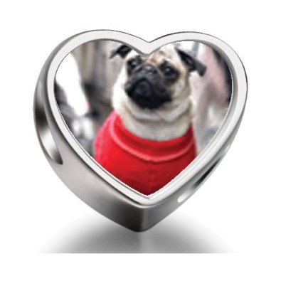 Pandora Dressed Up Pug Heart Photo Charm