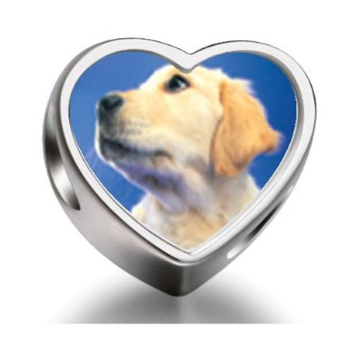 Pandora Golden Retriever Puppy Love Charm