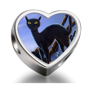Pandora Halloween Black Cat Orange Moon Photo Engraved Love Charm