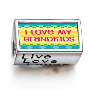 Pandora I Love My Grandkids November Birthstone Photo Flower Charm