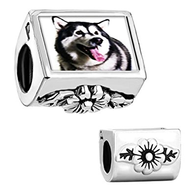 Pandora Jack Russell Terrier Dog Cylindrical Photo Charm