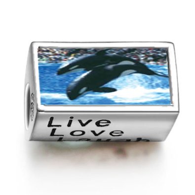 Pandora Killer Whale Show Words Live Love Laugh Charm