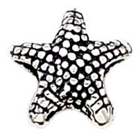 Pandora Star of The Sea Charm