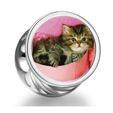 Pandora Tabby Cat Cylindrical Photo Charm
