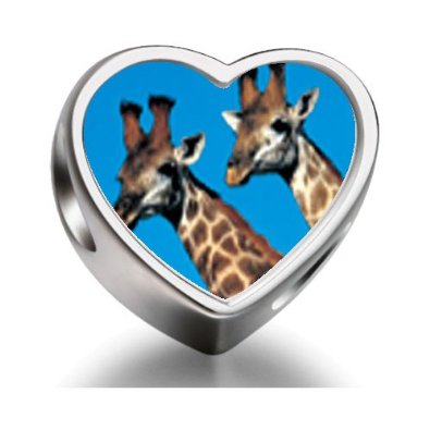 Pandora Two Giraffes Heart Photo Charm