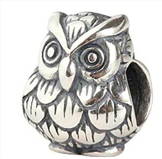 Pandora Harry Potter Owl Charm