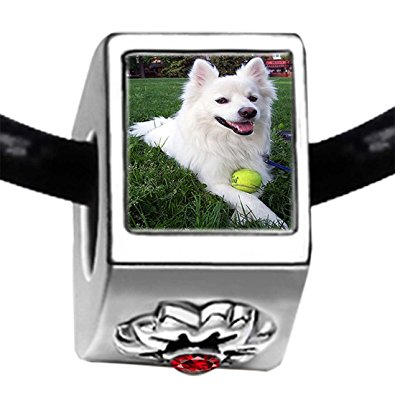 Pandora White Dog With Tennis Ball Charm
